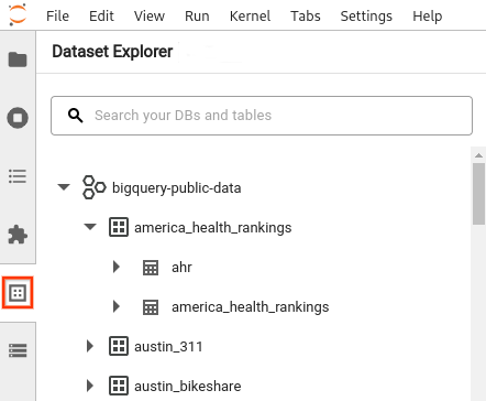 「Dataset Explorer」窗格顯示展開的專案和資料集清單。
