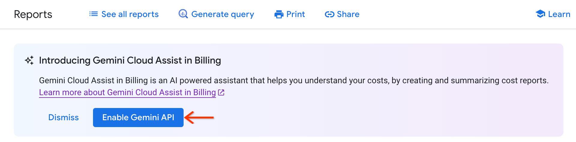 尚未启用 Cloud Billing 中的 Gemini Cloud Assist,无法在结算报告中使用。