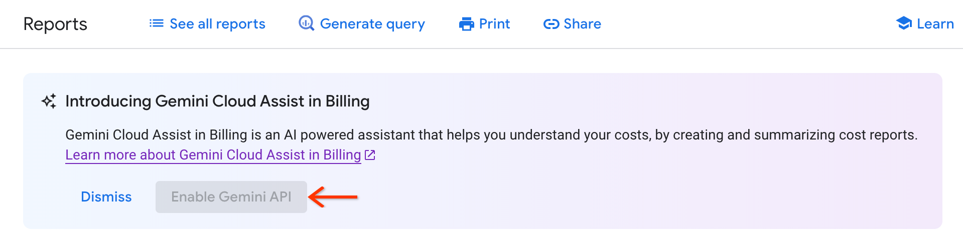 尚未启用 Cloud Billing 中的 Gemini Cloud Assist,无法在结算报告中使用。