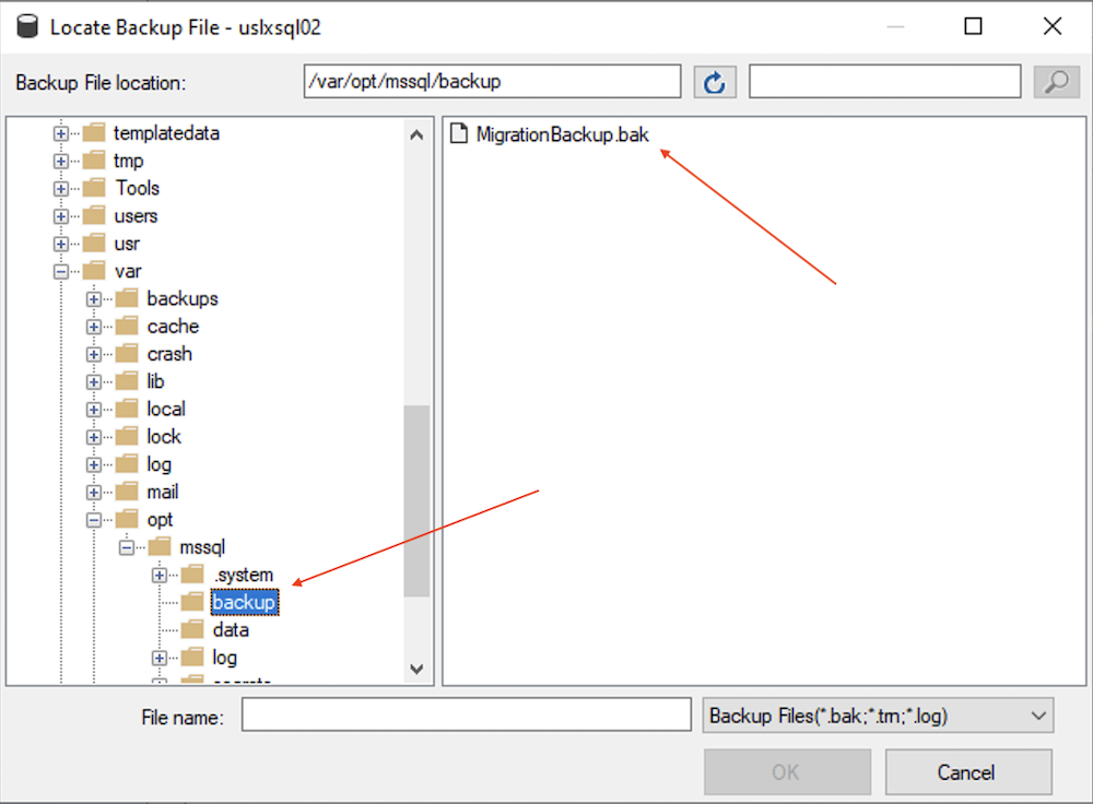 Select backup file to restore.