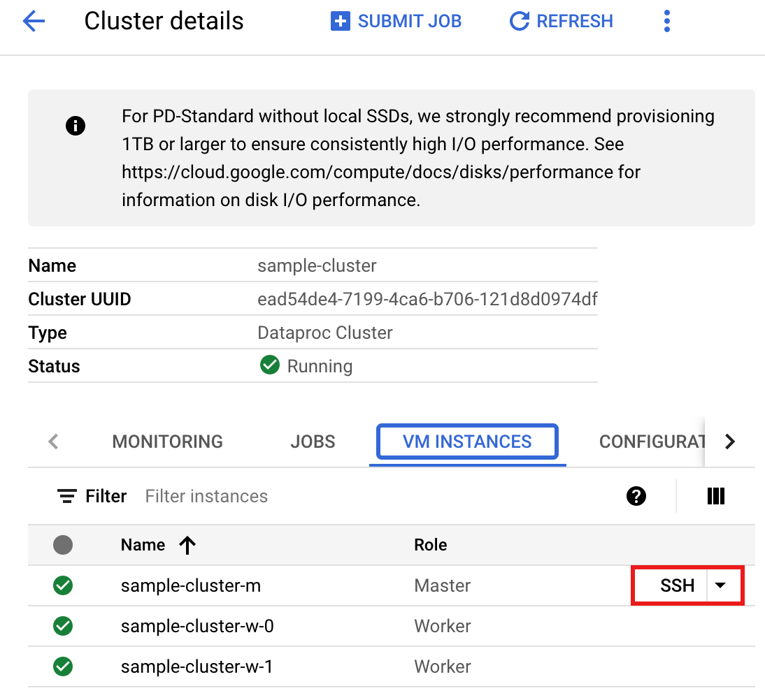 Screenshot of the Dataproc Cluster details page in the Google Cloud console, showing the SSH button used to connect to the cluster master node.
