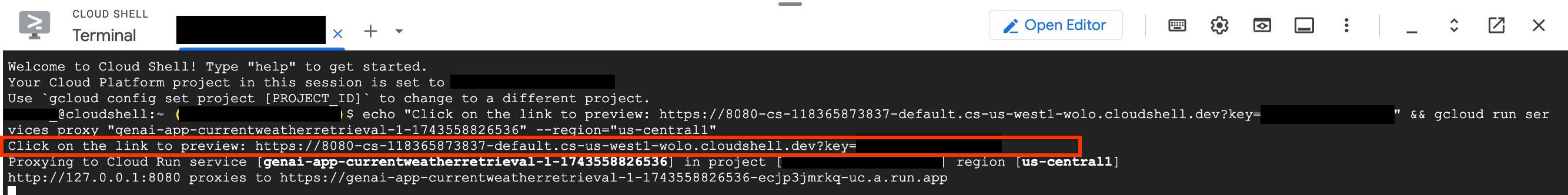 Cloud Shell 中的本地访问链接