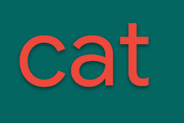 「cat」一詞以粗體字顯示。