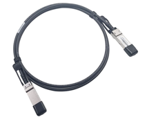 相片：QSFP28 雙軸銅質網路線